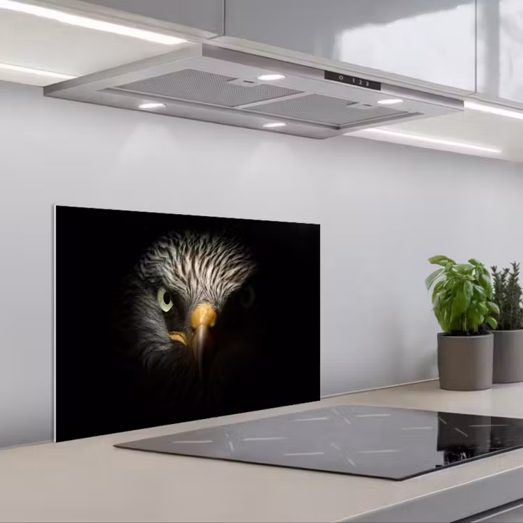 Salpicaderos de cocina - Pájaro - Águila - Aves de presa - Ojo - Pico - Luz — 1