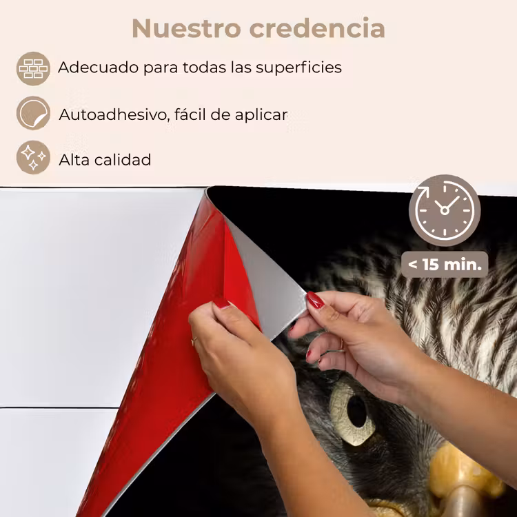 Salpicaderos de cocina - Pájaro - Águila - Aves de presa - Ojo - Pico - Luz — 4