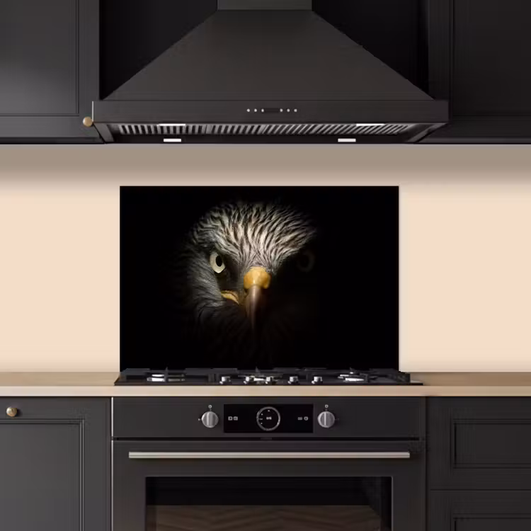 Salpicaderos de cocina - Pájaro - Águila - Aves de presa - Ojo - Pico - Luz — 5