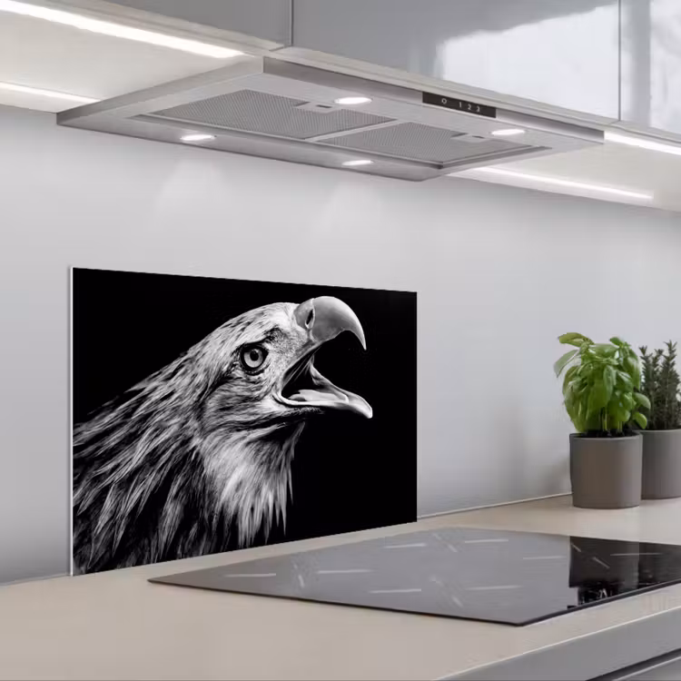 Salpicaderos de cocina - Águila - Retrato - Aves de rapiña - Blanco y negro - Pájaro — 1