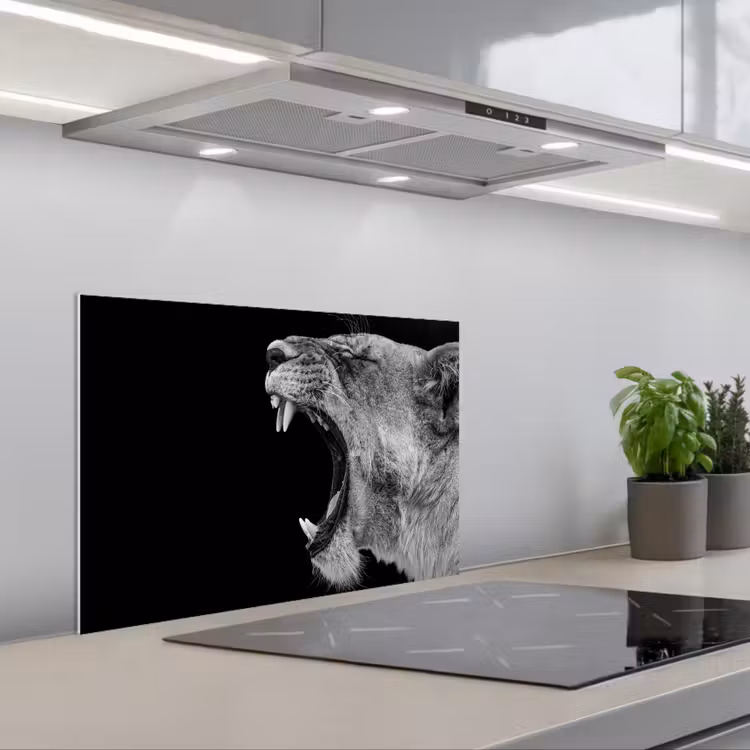 Salpicaderos de cocina - Animales - León - Negro - Blanco - Retrato — 1