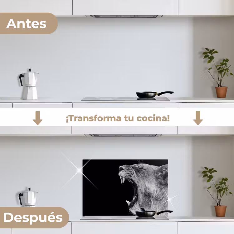 Salpicaderos de cocina - Animales - León - Negro - Blanco - Retrato — 7