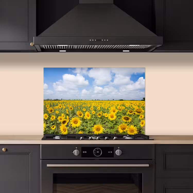 Salpicaderos de cocina - Girasoles - Flores - Nubes - Naturaleza - Amarillo - Paisaje — 5