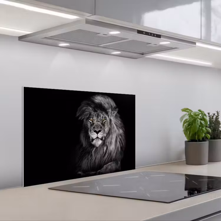 Salpicaderos de cocina - León - Ojos - Naranja - Blanco y negro - Animales - Retrato — 1