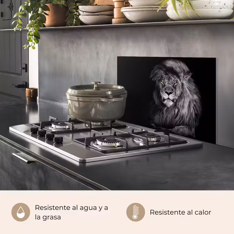 Salpicaderos de cocina - León - Ojos - Naranja - Blanco y negro - Animales - Retrato — 2