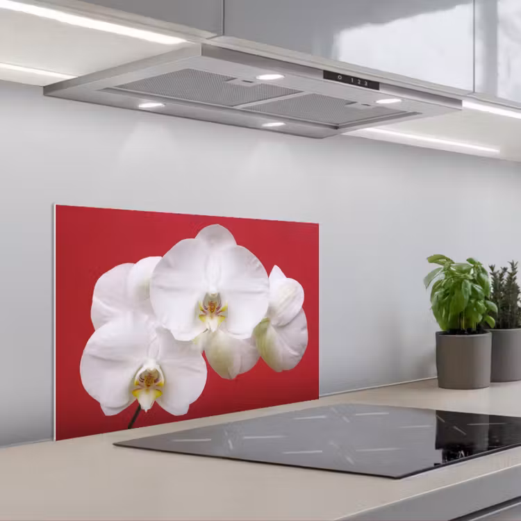 Salpicaderos de cocina - Orquídea blanca sobre rojo — 1