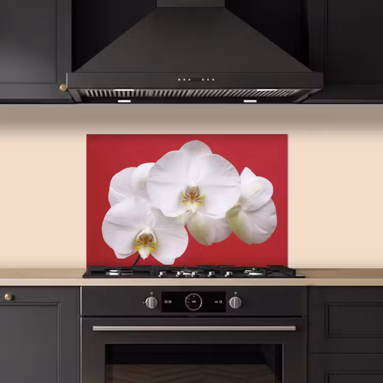 Salpicaderos de cocina - Orquídea blanca sobre rojo — 5