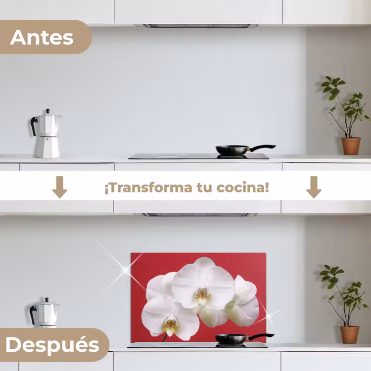 Salpicaderos de cocina - Orquídea blanca sobre rojo — 7