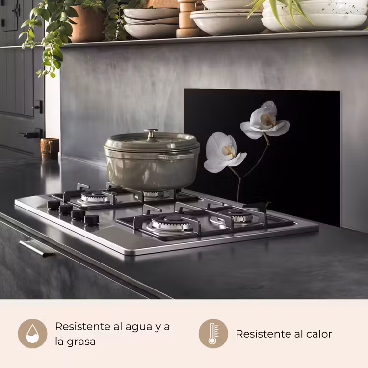 Salpicaderos de cocina - Orquídea - Flores - Negro - Blanco - Naturaleza muerta — 2