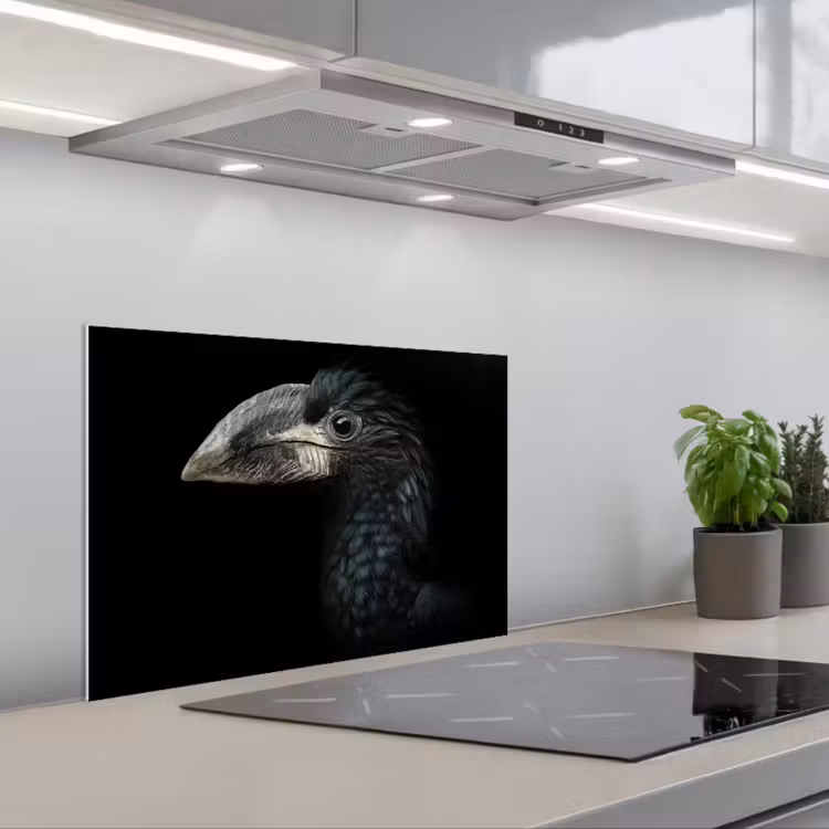 Salpicaderos de cocina - Pájaro - Retrato - Cálao - Negro - Animales — 1