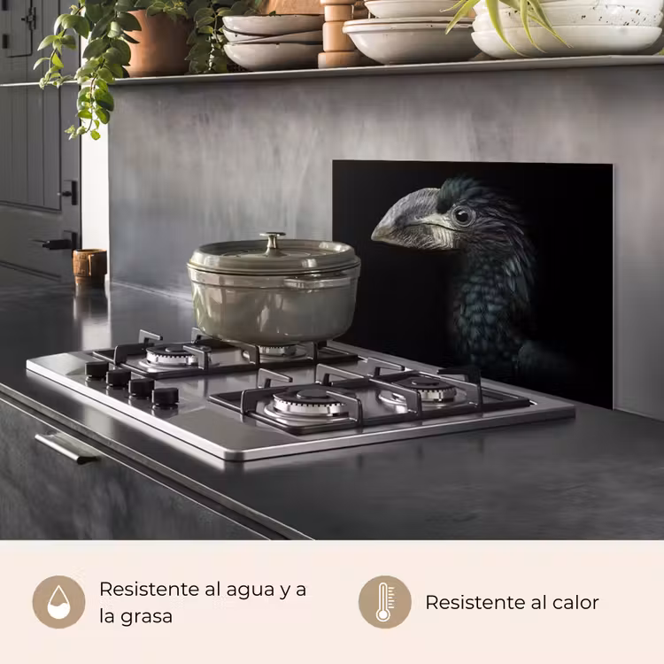 Salpicaderos de cocina - Pájaro - Retrato - Cálao - Negro - Animales — 2