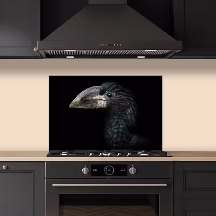 Salpicaderos de cocina - Pájaro - Retrato - Cálao - Negro - Animales — 5