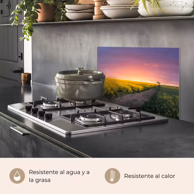 Salpicaderos de cocina - Flores - Carretera - Cielo - Amarillo - Púrpura - Puesta de sol - Naturaleza — 2