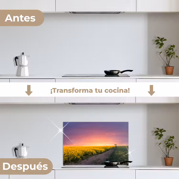 Salpicaderos de cocina - Flores - Carretera - Cielo - Amarillo - Púrpura - Puesta de sol - Naturaleza — 7