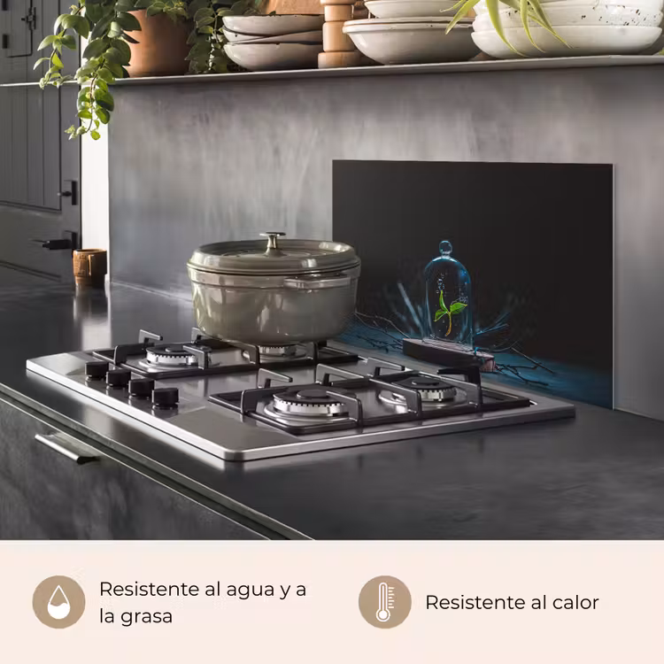 Salpicaderos de cocina - Naturaleza muerta - Planta - Flores — 2
