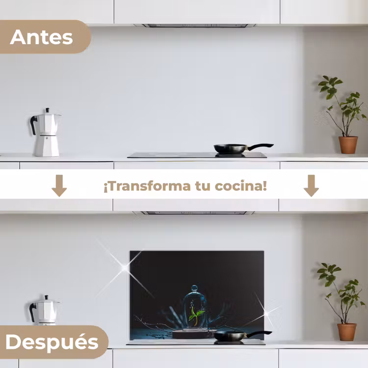 Salpicaderos de cocina - Naturaleza muerta - Planta - Flores — 7