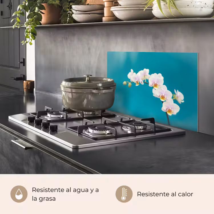 Salpicaderos de cocina - Orquídea - Flores - Planta - Blanco - Morado — 2