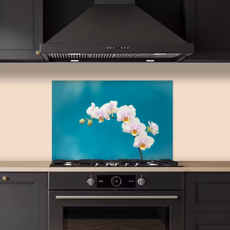 Salpicaderos de cocina - Orquídea - Flores - Planta - Blanco - Morado — 5