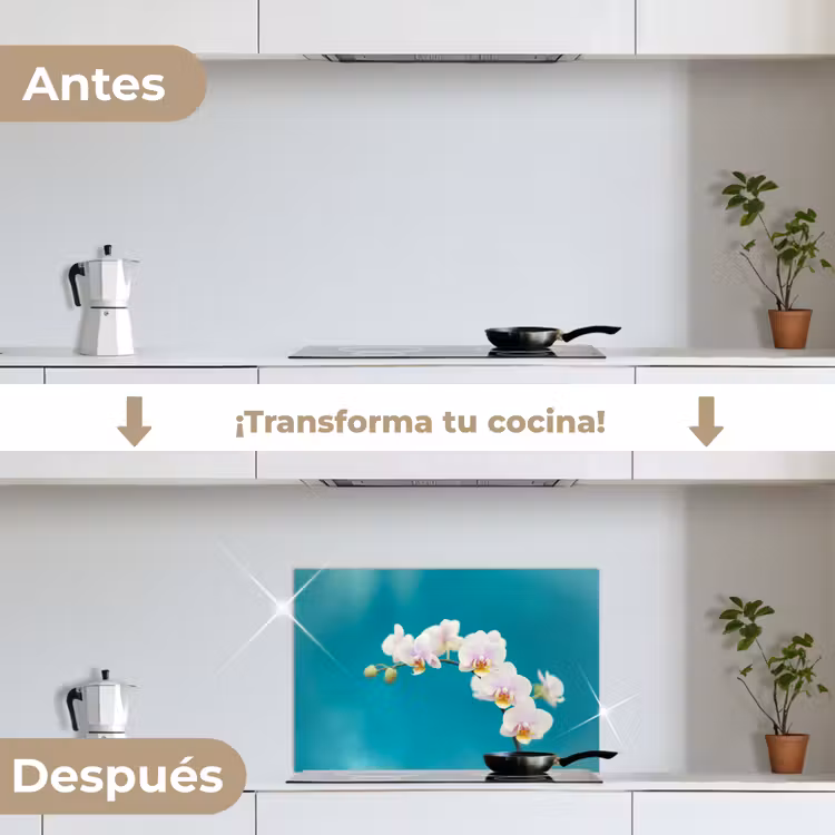 Salpicaderos de cocina - Orquídea - Flores - Planta - Blanco - Morado — 7