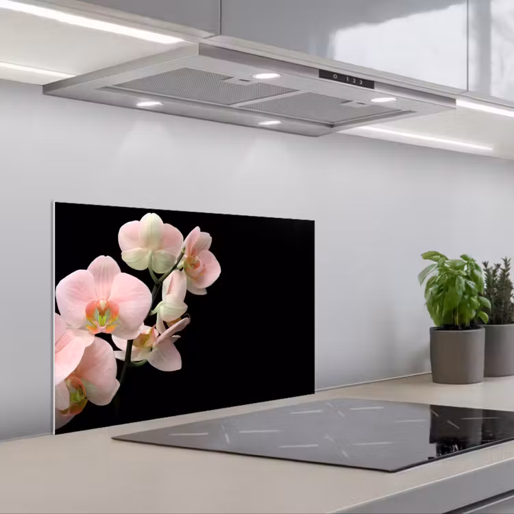 Salpicaderos de cocina - Orquídea - Flores - Rosa - Naturaleza muerta - Flora — 1