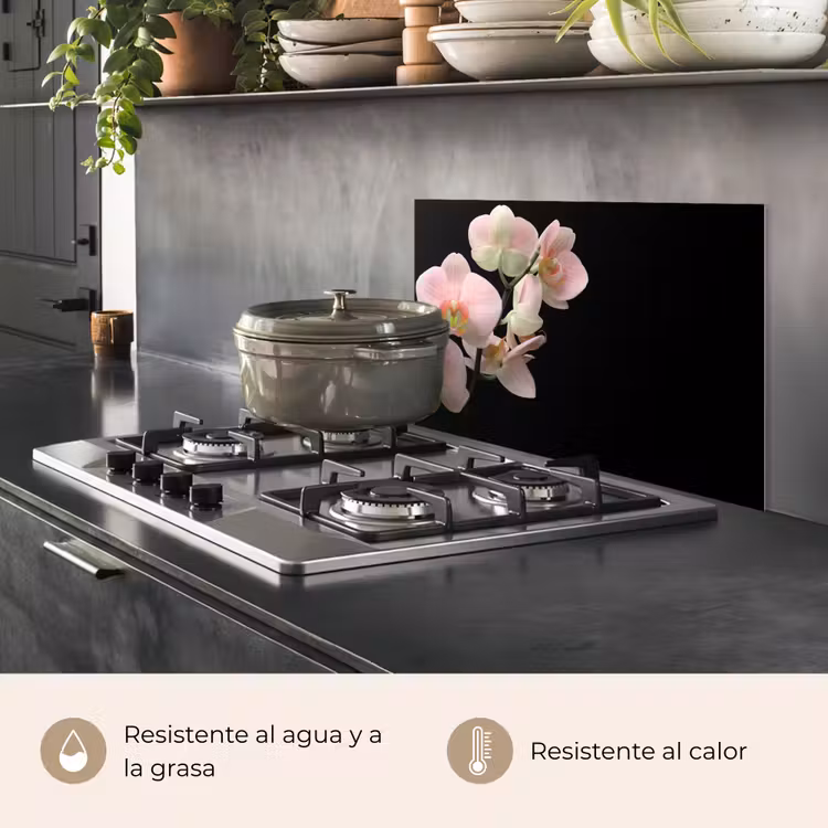 Salpicaderos de cocina - Orquídea - Flores - Rosa - Naturaleza muerta - Flora — 2