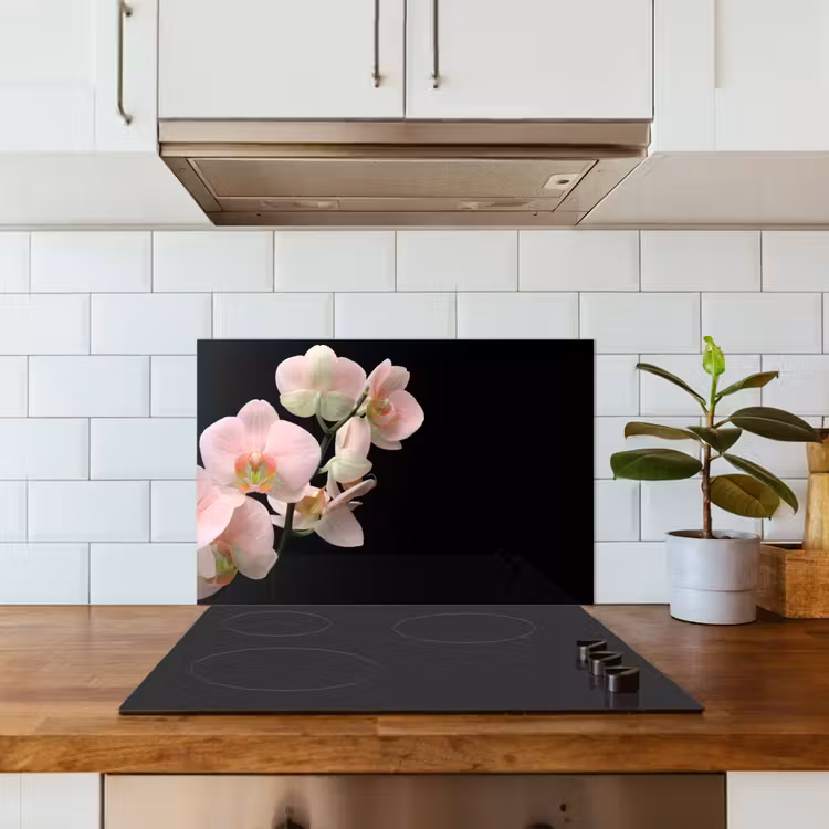Salpicaderos de cocina - Orquídea - Flores - Rosa - Naturaleza muerta - Flora — 3