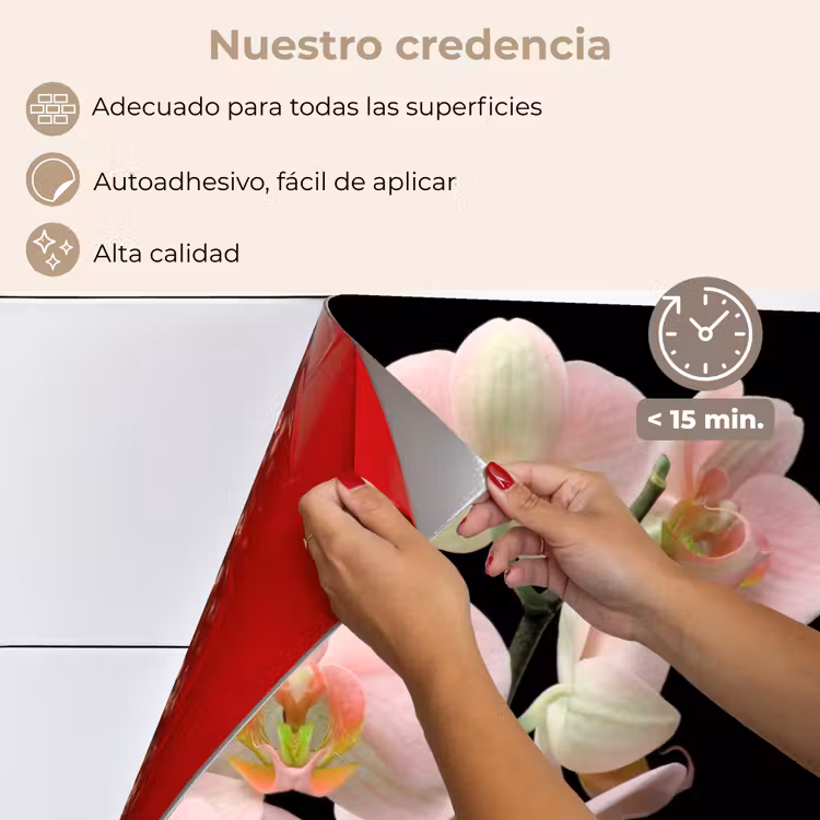 Salpicaderos de cocina - Orquídea - Flores - Rosa - Naturaleza muerta - Flora — 4
