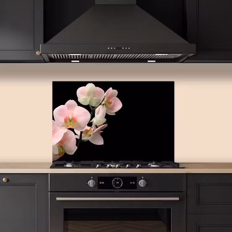 Salpicaderos de cocina - Orquídea - Flores - Rosa - Naturaleza muerta - Flora — 5