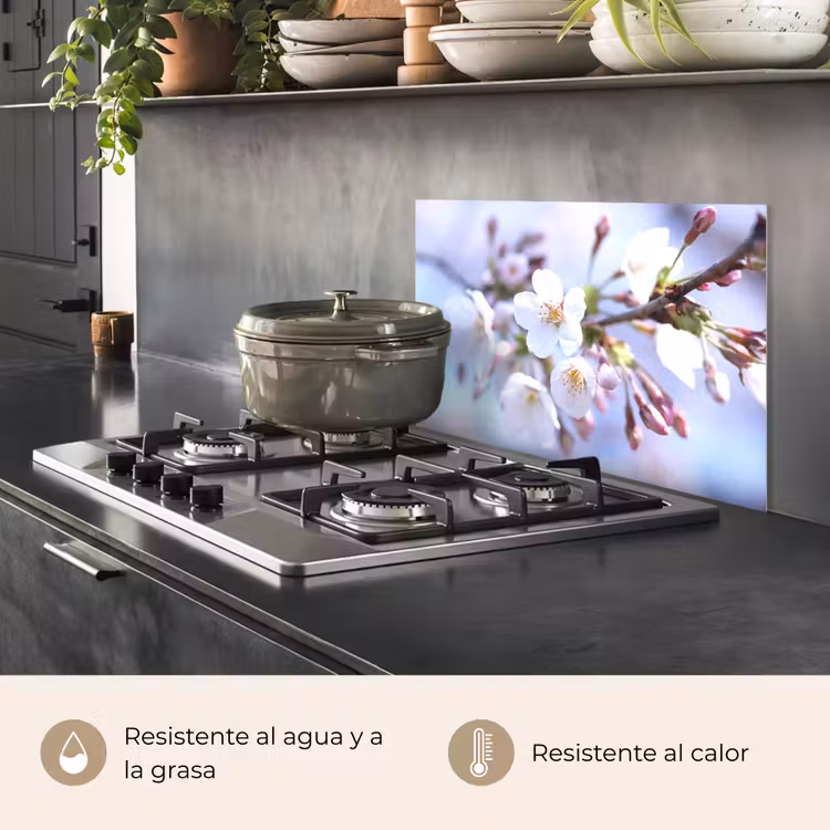 Salpicaderos de cocina - El despertar de la primavera — 2