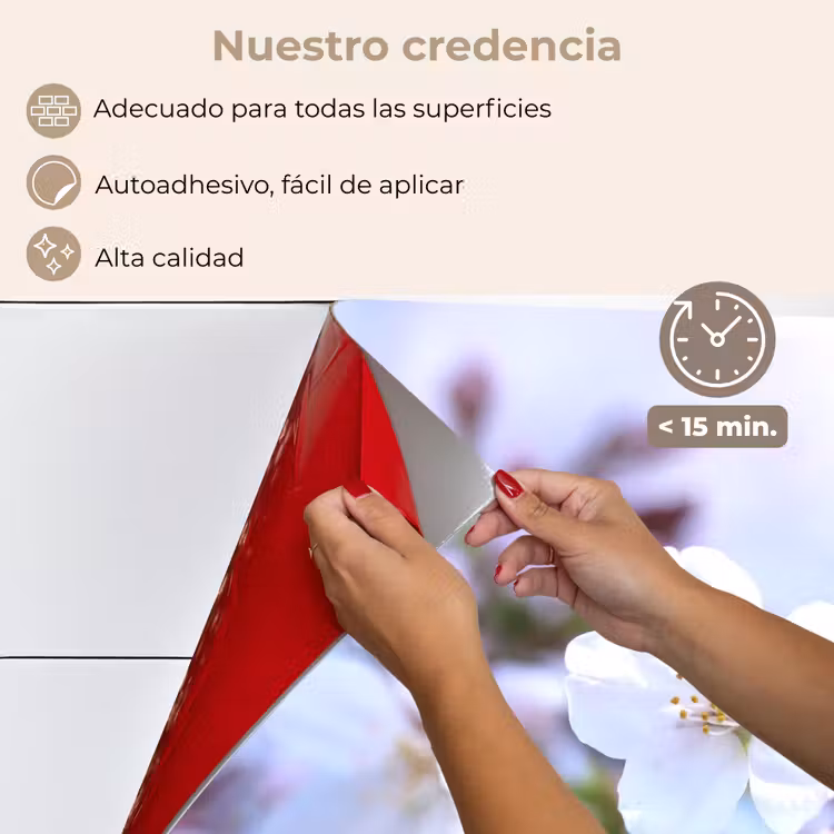 Salpicaderos de cocina - El despertar de la primavera — 4