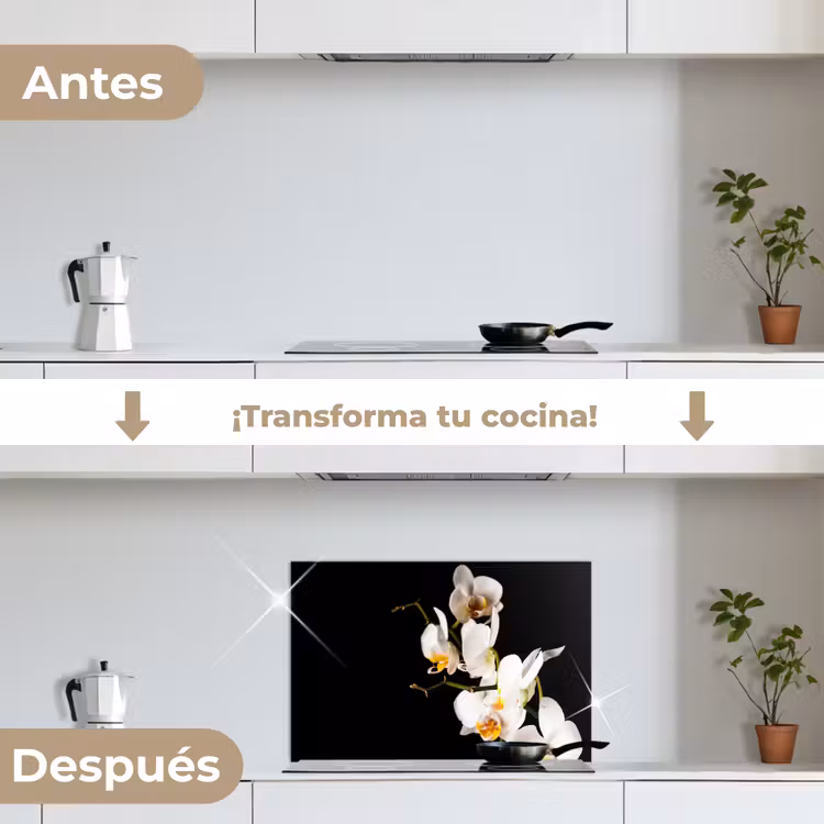 Salpicaderos de cocina - Orquídeas en contraste — 7