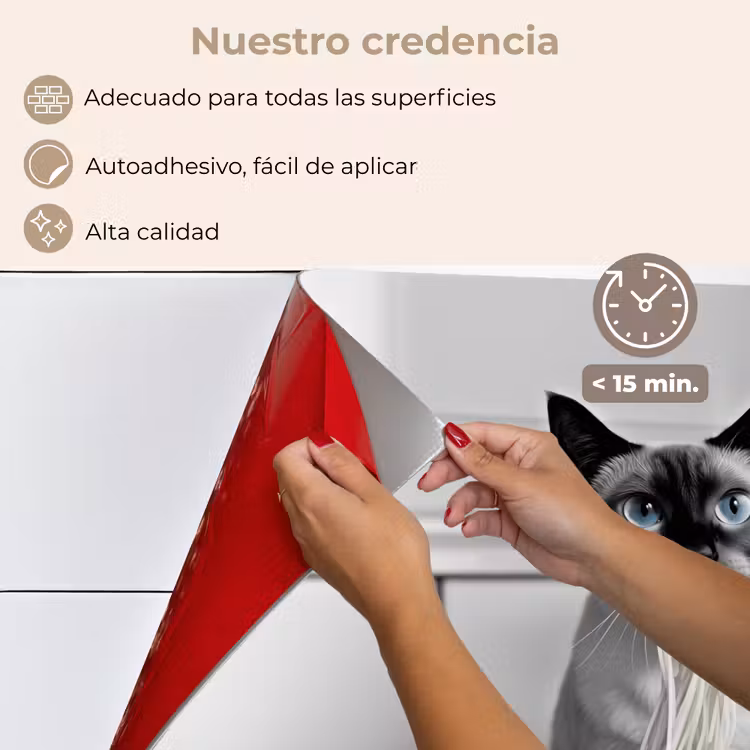 Salpicaderos de cocina - Gato - Siamés - Blanco y negro - Lindo - Animales — 4
