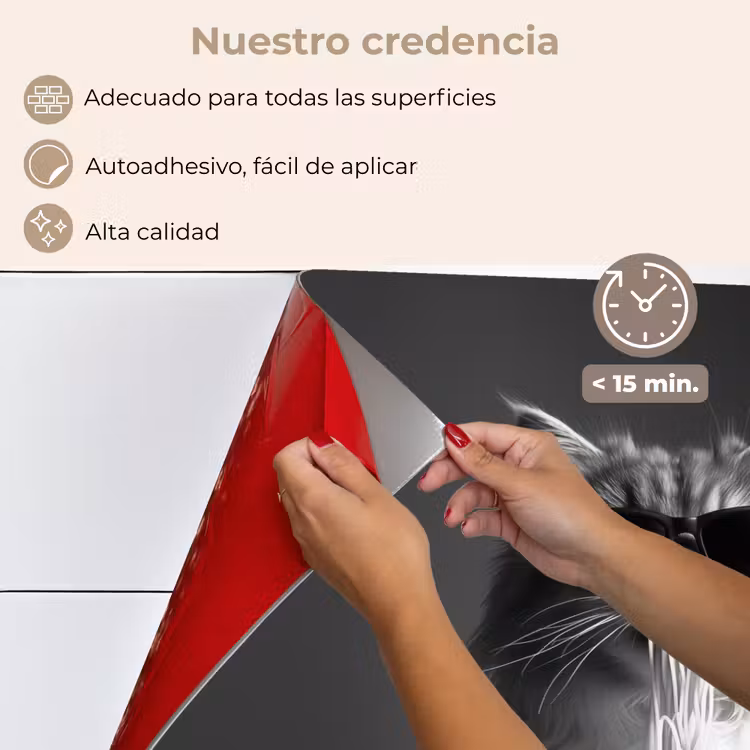 Salpicaderos de cocina - Gato de pelo largo - Gafas de sol - Espagueti - Humor - Negro - blanco — 4