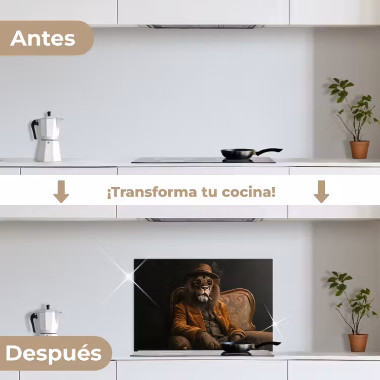 Salpicaderos de cocina - Gafas - León - Banco - Sombrero — 7
