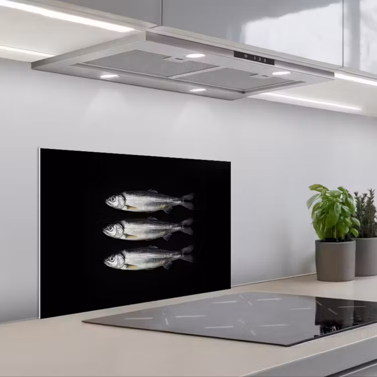 Salpicaderos de cocina - Arenque - Pescado - Negro — 1