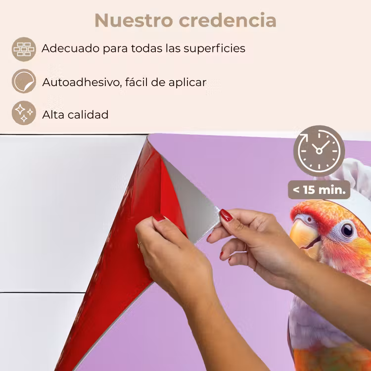 Salpicaderos de cocina - Loro - Gorro de cocinero - Pilar - Pájaro — 4