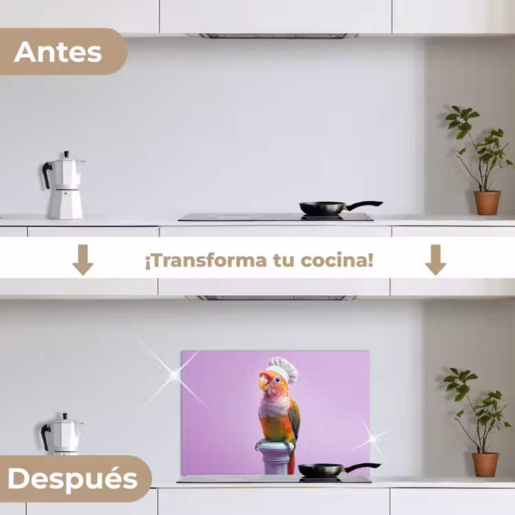Salpicaderos de cocina - Loro - Gorro de cocinero - Pilar - Pájaro — 7