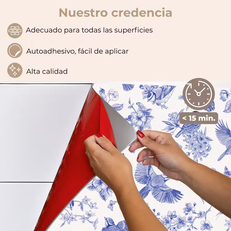 Salpicaderos de cocina - Pájaros - Flores - Azul — 4