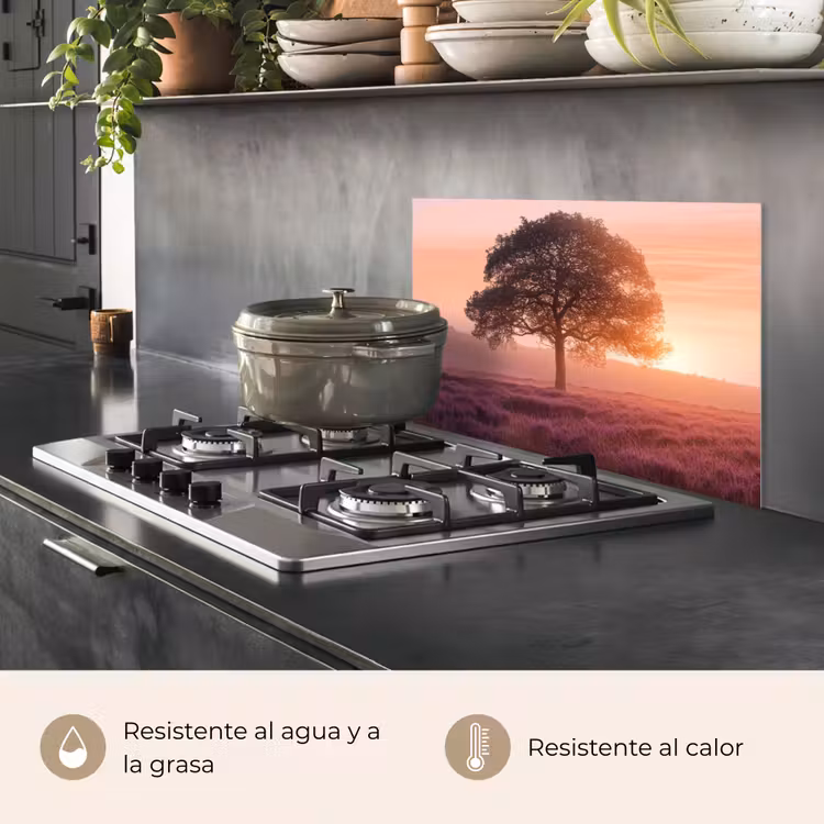 Salpicaderos de cocina - Árbol - Brezo - Amanecer — 2