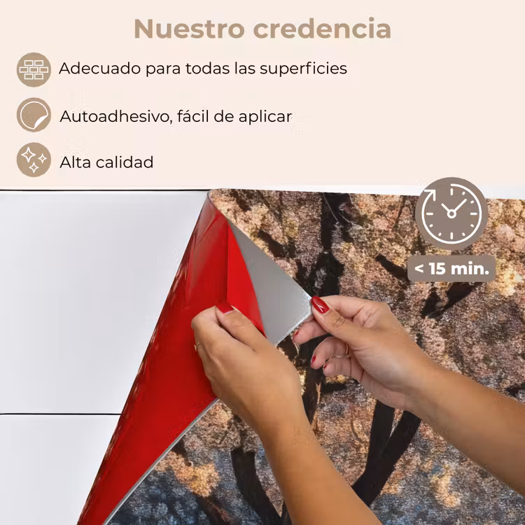 Salpicaderos de cocina - Árboles - Florecer - Primavera — 4