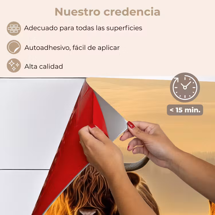 Salpicaderos de cocina - Montañeses escoceses - Brezales - Paisaje - Animales — 4