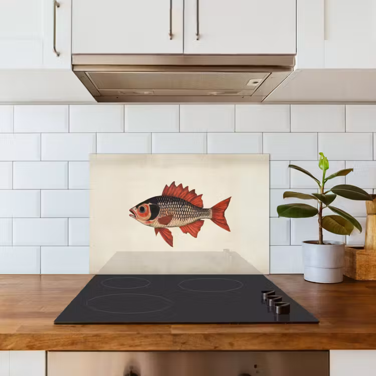 Salpicaderos de cocina - Escamas - Rojo - Pez - Aletas — 3