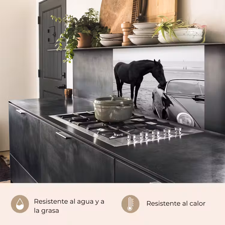 Revestimiento cocina - Caballo - Coche - Negro - Blanco — 4