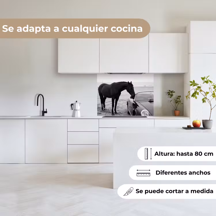 Revestimiento cocina - Caballo - Coche - Negro - Blanco — 6