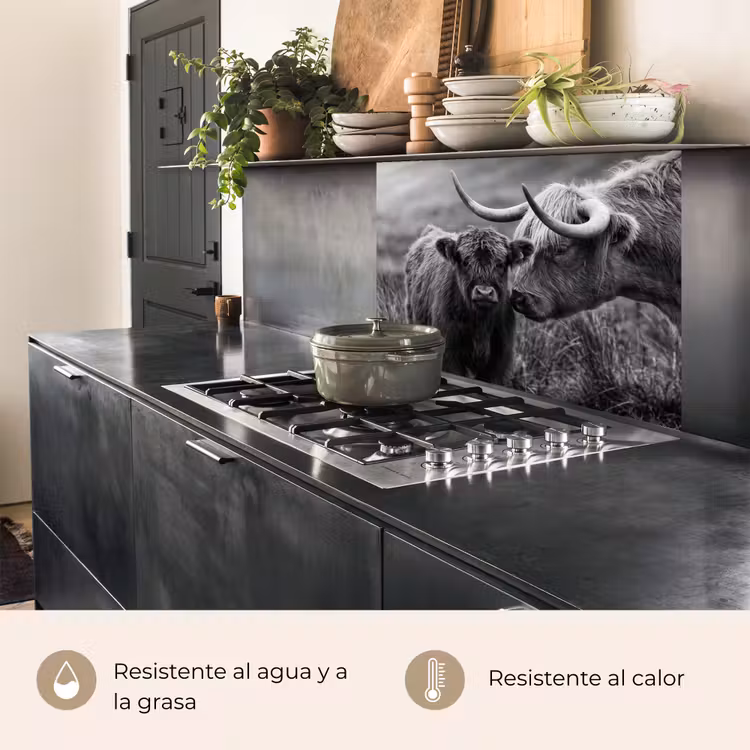 Revestimiento cocina - Highlander escocés - Becerro - Negro - Blanco — 4
