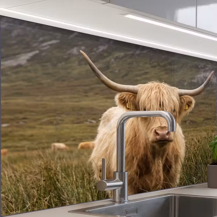 Revestimiento cocina - Highlander escocés - Bergen - Campo de hierba — 1