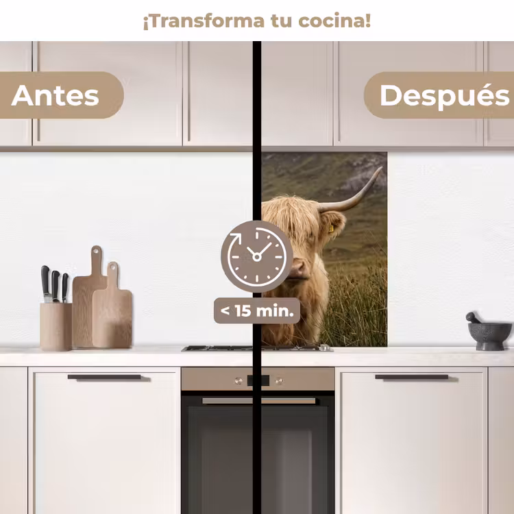 Revestimiento cocina - Highlander escocés - Bergen - Campo de hierba — 2