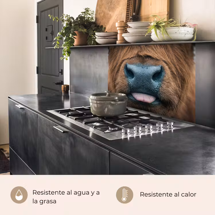 Revestimiento cocina - Highlander escocés - Nariz - Marrón — 4