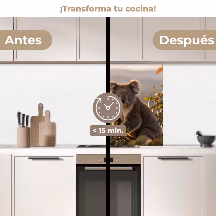 Revestimiento cocina - Koala - Hojas - Luz matinal — 2