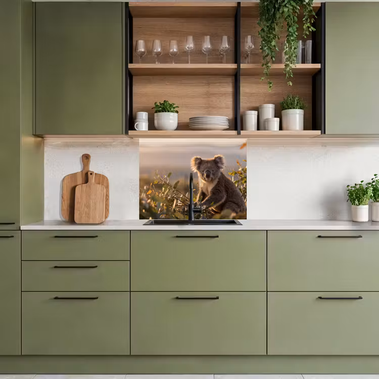 Revestimiento cocina - Koala - Hojas - Luz matinal — 7